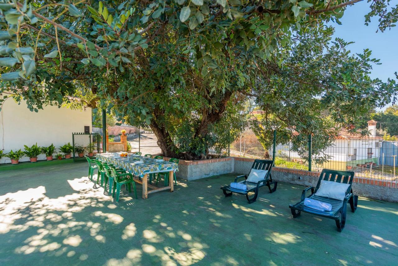 Los Algarrobos - Mountain And Relax Near The Beach มาลากา ภายนอก รูปภาพ